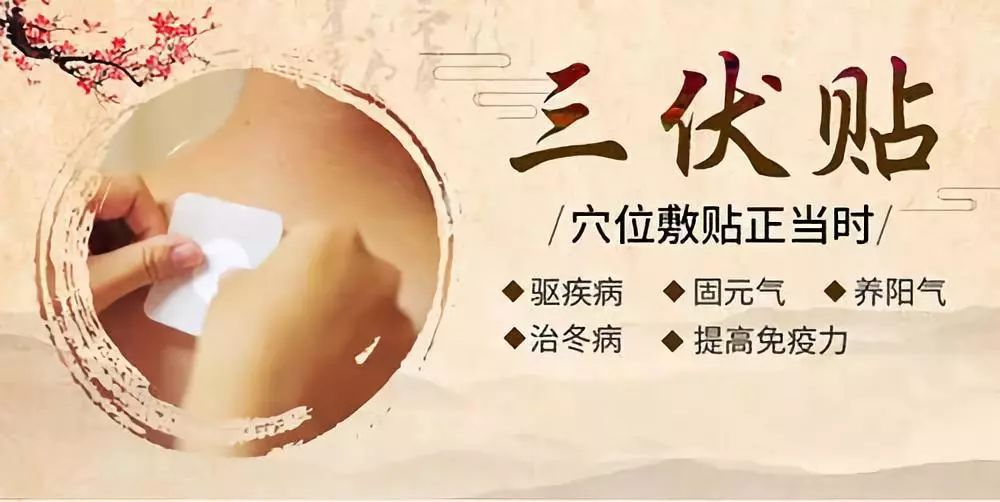 關(guān)于三伏貼，你了解多少呢？