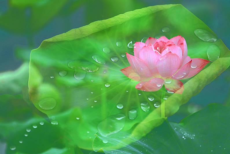 醫(yī)療器械網(wǎng)：失眠該怎么辦？